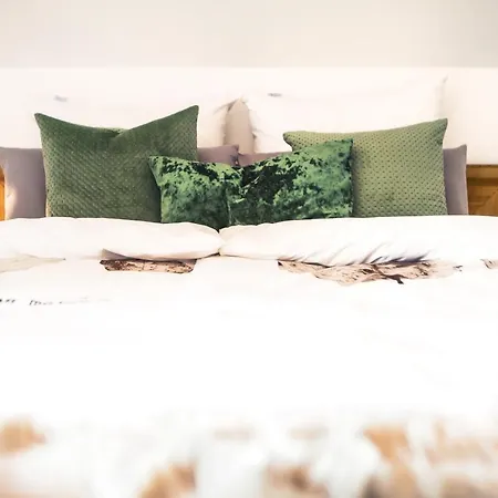 Fewo-ts / Loft Zum Wohlfuehlen تراونشتاين